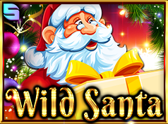 Wild Santa